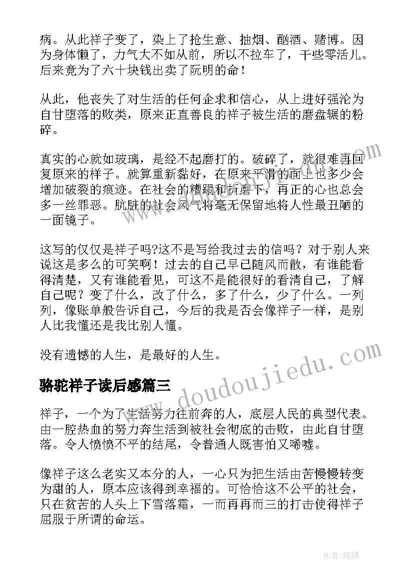 2023年骆驼祥子读后感(优秀8篇)