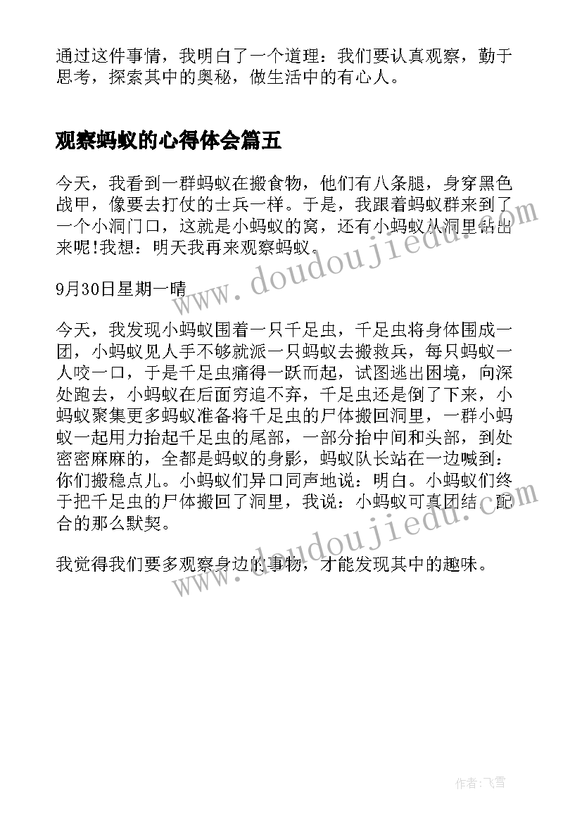 最新观察蚂蚁的心得体会(汇总5篇)