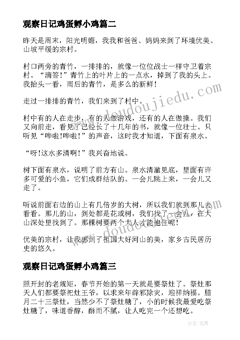 2023年观察日记鸡蛋孵小鸡(优质10篇)