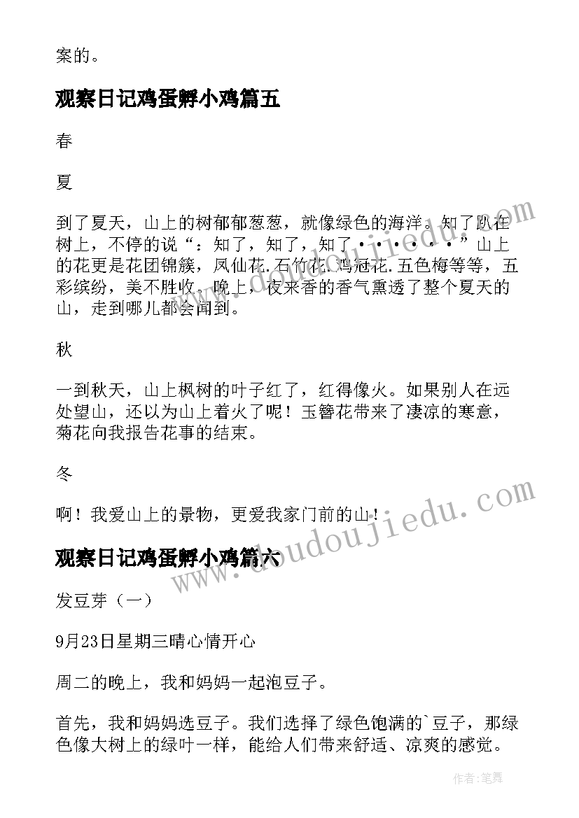 2023年观察日记鸡蛋孵小鸡(优质10篇)