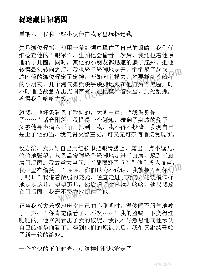 2023年捉迷藏日记(精选18篇)