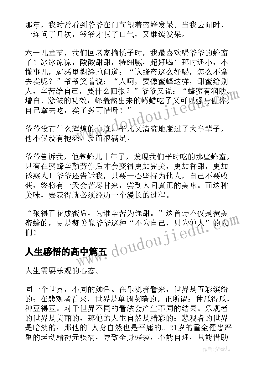 2023年人生感悟的高中 高中三年人生感悟总结(汇总8篇)