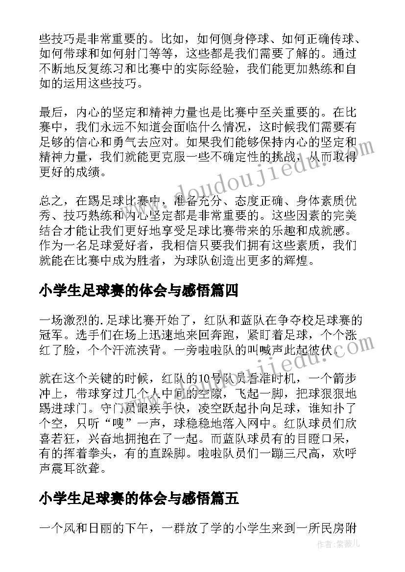 2023年小学生足球赛的体会与感悟(大全8篇)