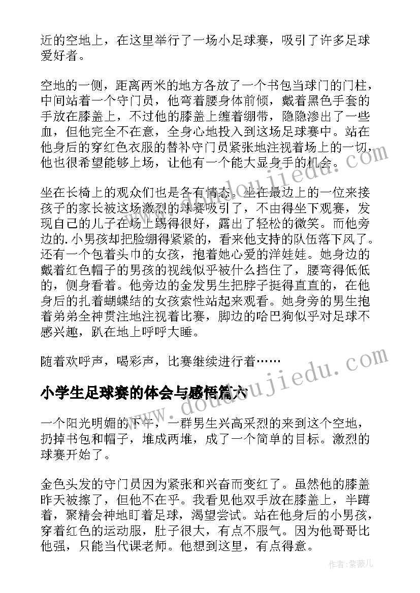 2023年小学生足球赛的体会与感悟(大全8篇)