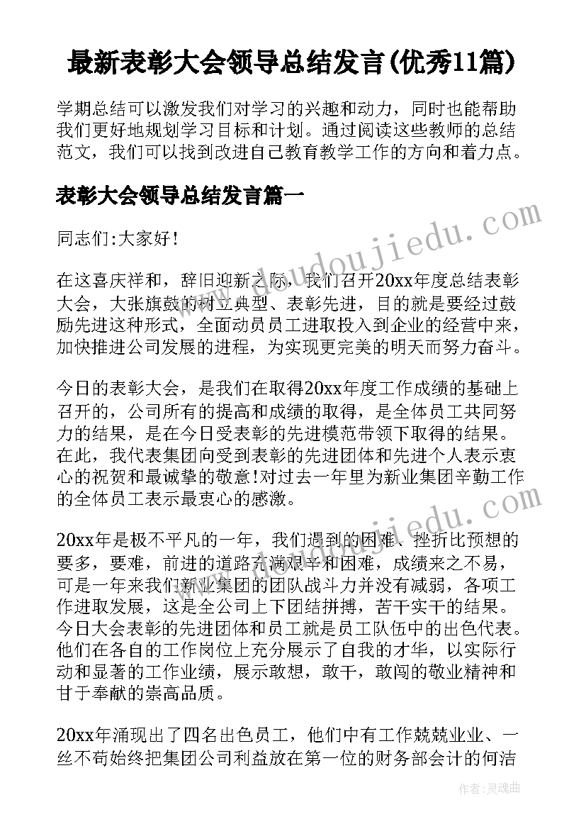 最新表彰大会领导总结发言(优秀11篇)