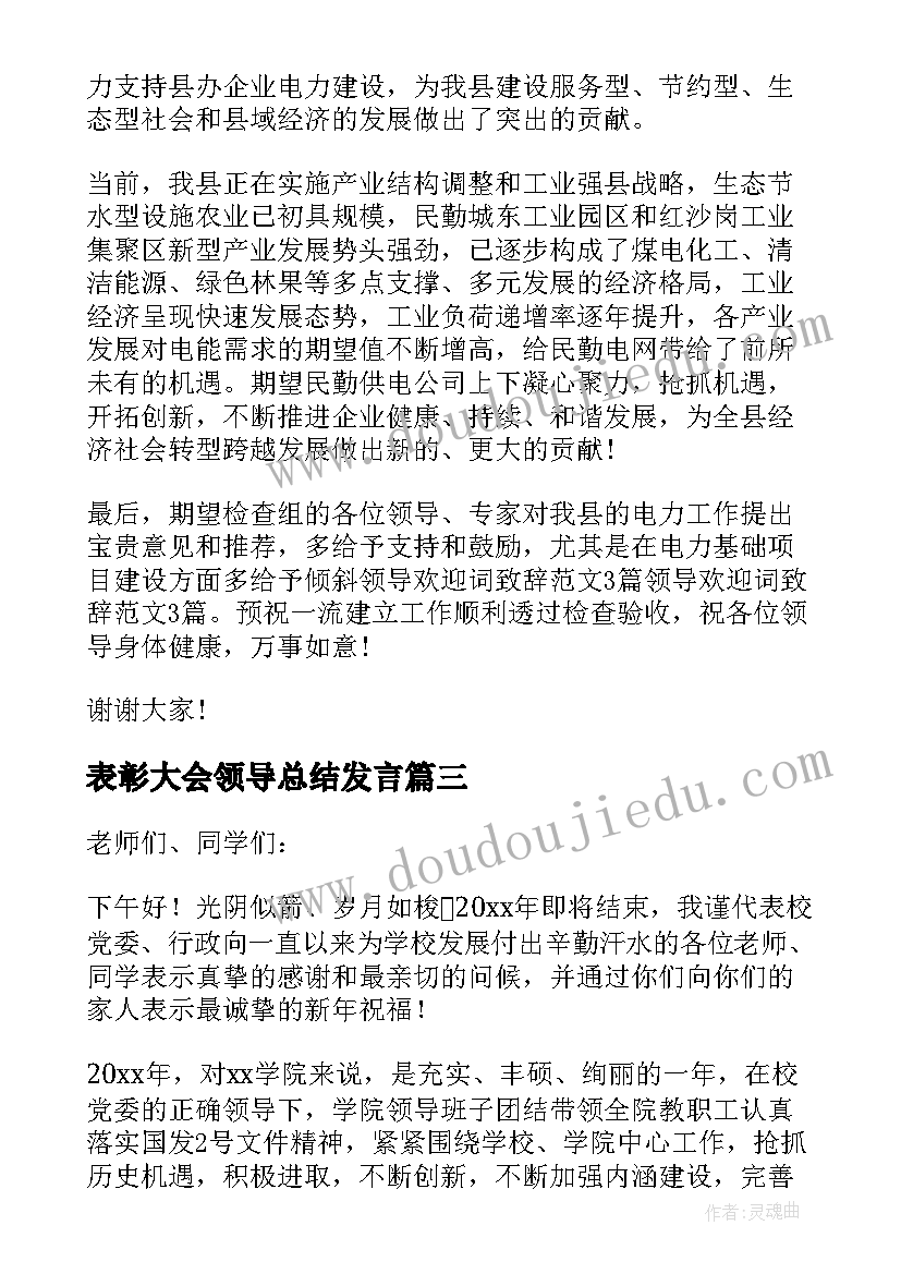 最新表彰大会领导总结发言(优秀11篇)