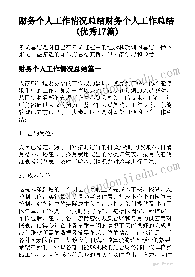 财务个人工作情况总结 财务个人工作总结(优秀17篇)