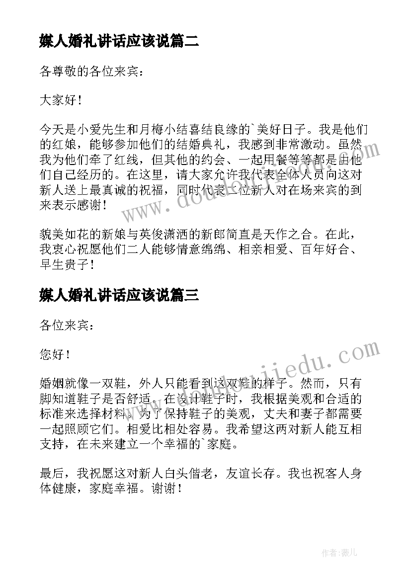 媒人婚礼讲话应该说(精选14篇)