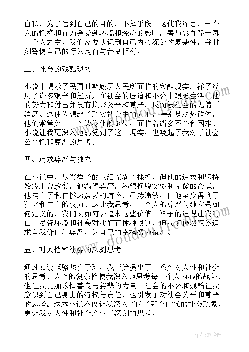 2023年骆驼祥子读书心得体会(优秀14篇)