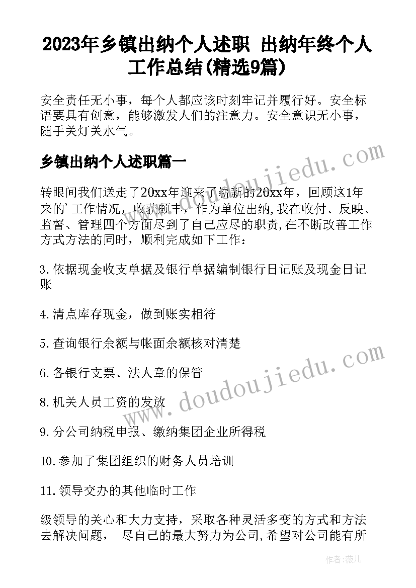 2023年乡镇出纳个人述职 出纳年终个人工作总结(精选9篇)