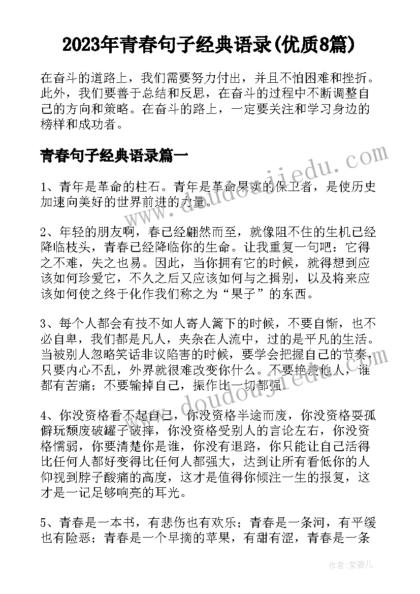 2023年青春句子经典语录(优质8篇)