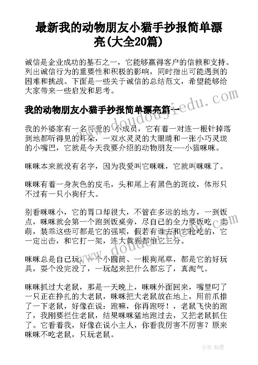 最新我的动物朋友小猫手抄报简单漂亮(大全20篇)