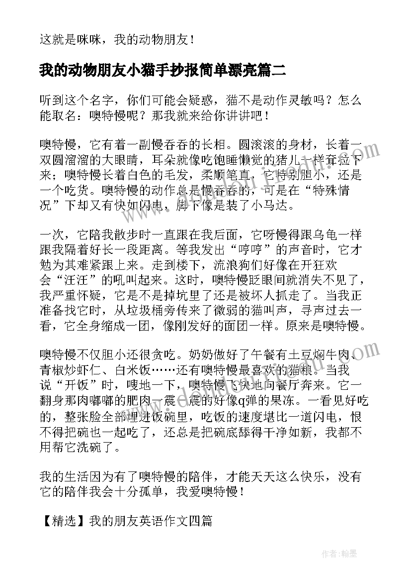 最新我的动物朋友小猫手抄报简单漂亮(大全20篇)