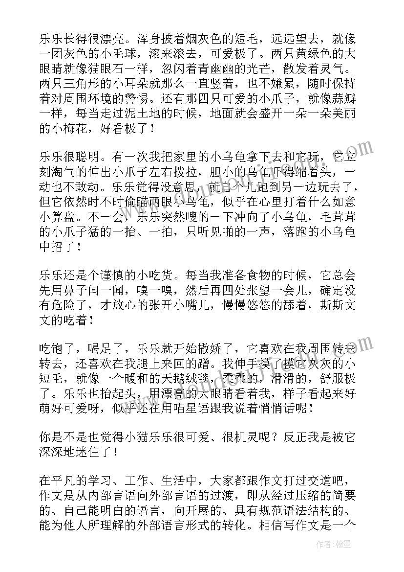 最新我的动物朋友小猫手抄报简单漂亮(大全20篇)