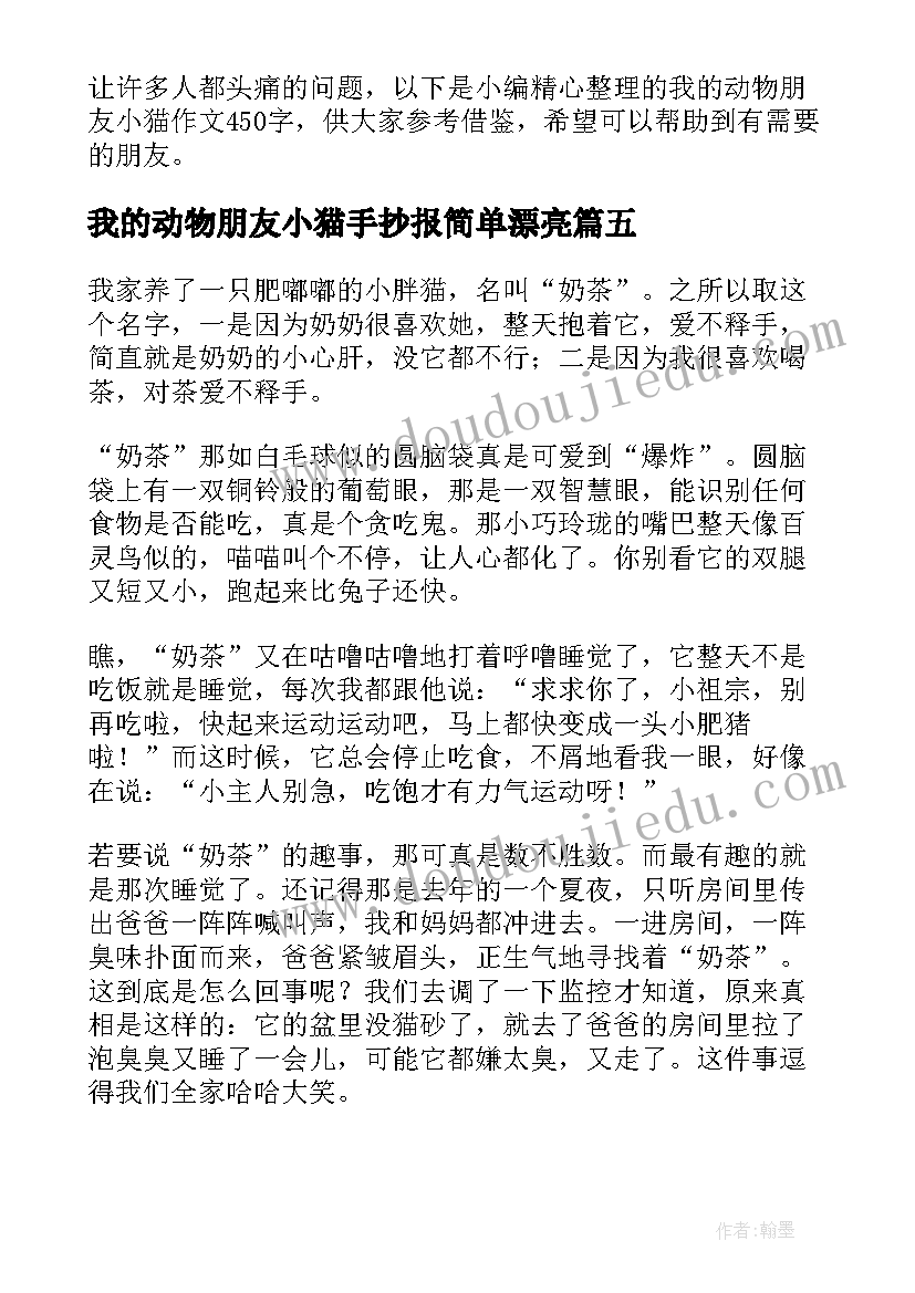 最新我的动物朋友小猫手抄报简单漂亮(大全20篇)