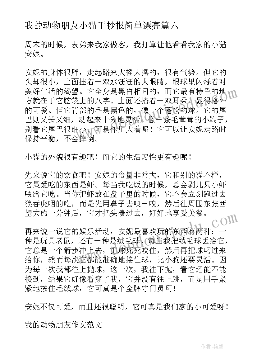 最新我的动物朋友小猫手抄报简单漂亮(大全20篇)