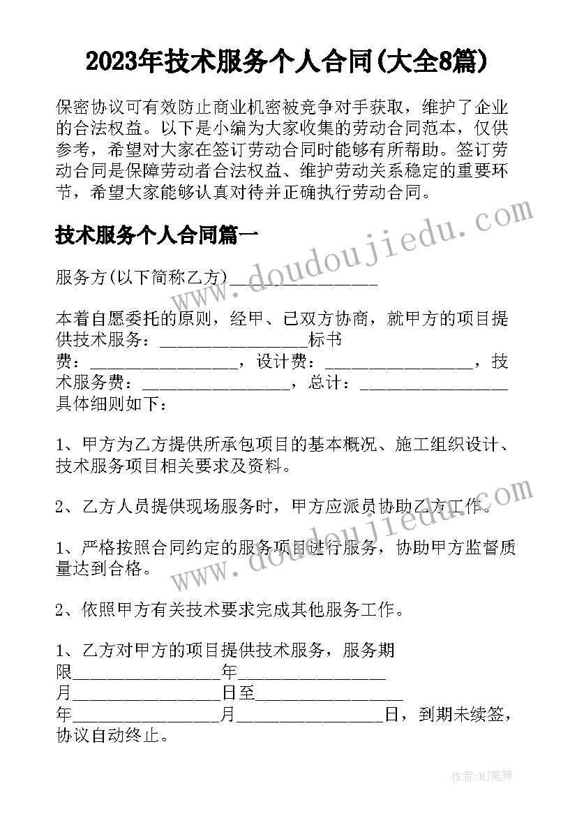 2023年技术服务个人合同(大全8篇)