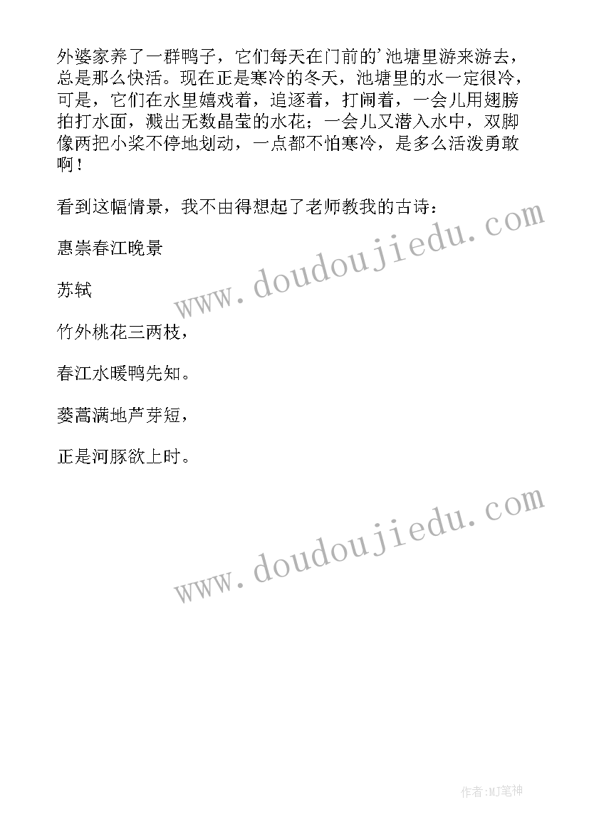 2023年小学生一年级寒假日记(实用8篇)