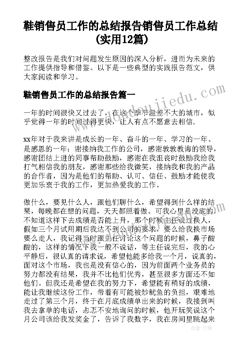 鞋销售员工作的总结报告 销售员工作总结(实用12篇)