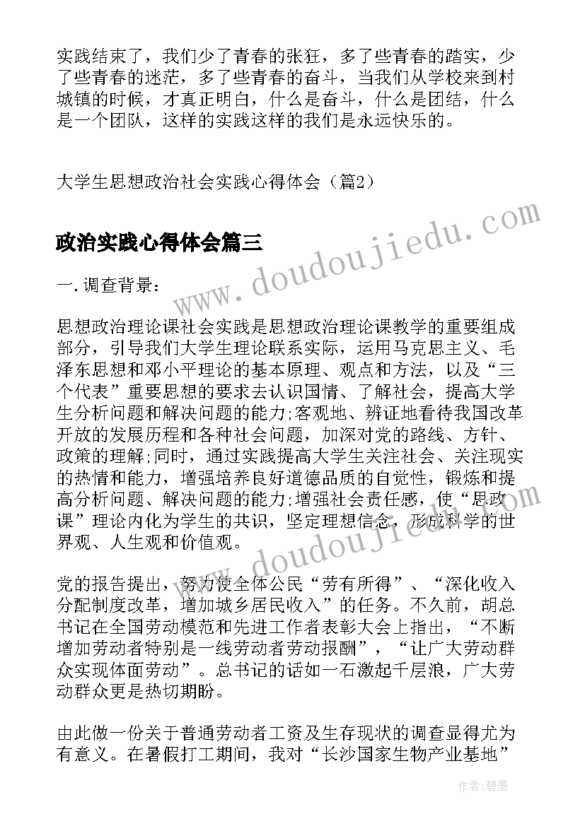 2023年政治实践心得体会 政治社会化实践心得体会(实用8篇)