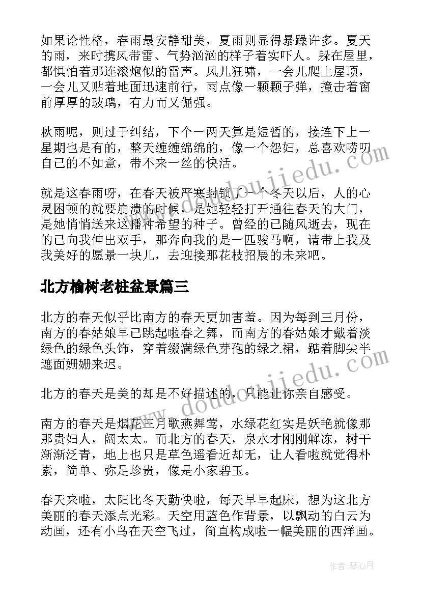 2023年北方榆树老桩盆景 北方有小雪散文(汇总18篇)