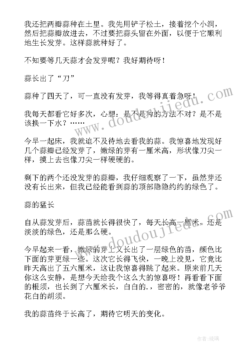 2023年种蒜的日记(模板12篇)