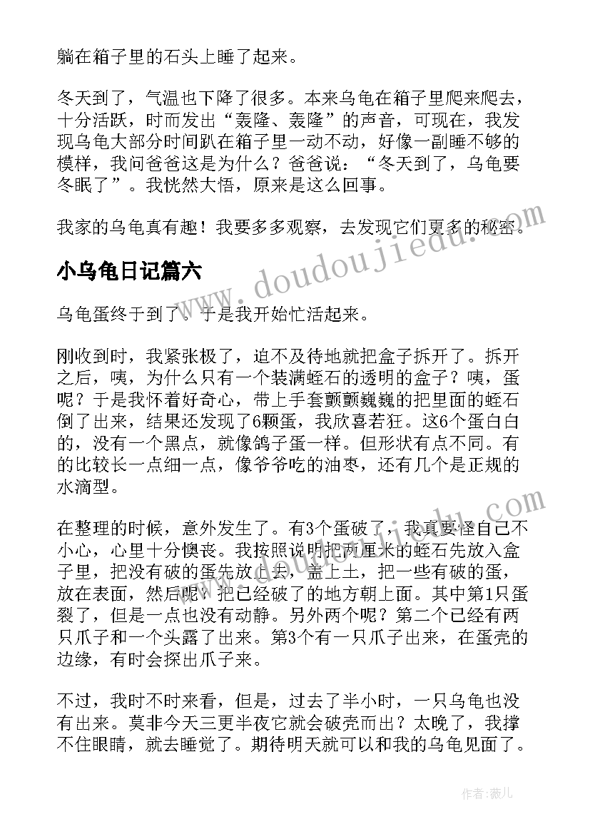 最新小乌龟日记(精选16篇)