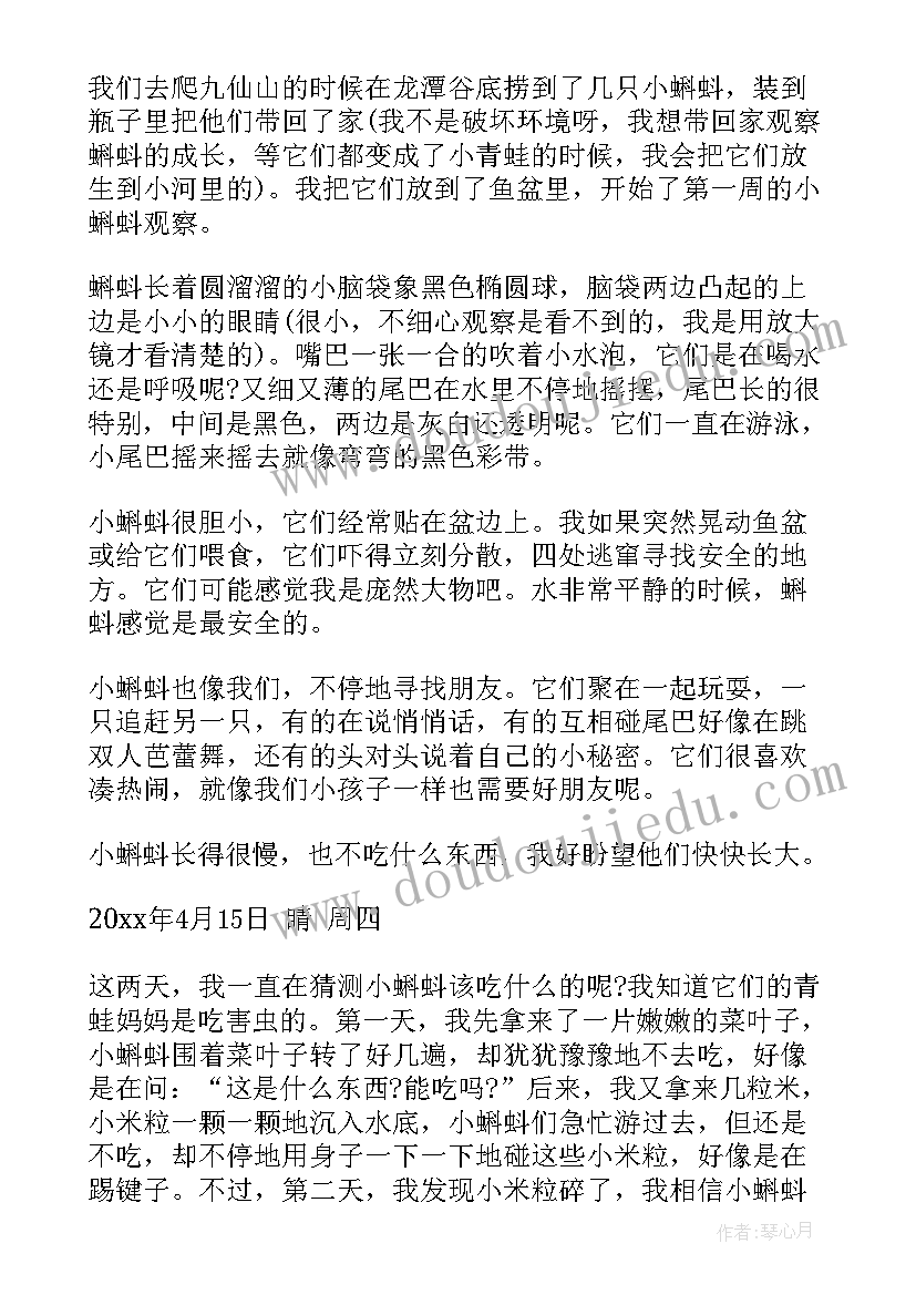 2023年小蝌蚪观察日记(优质19篇)