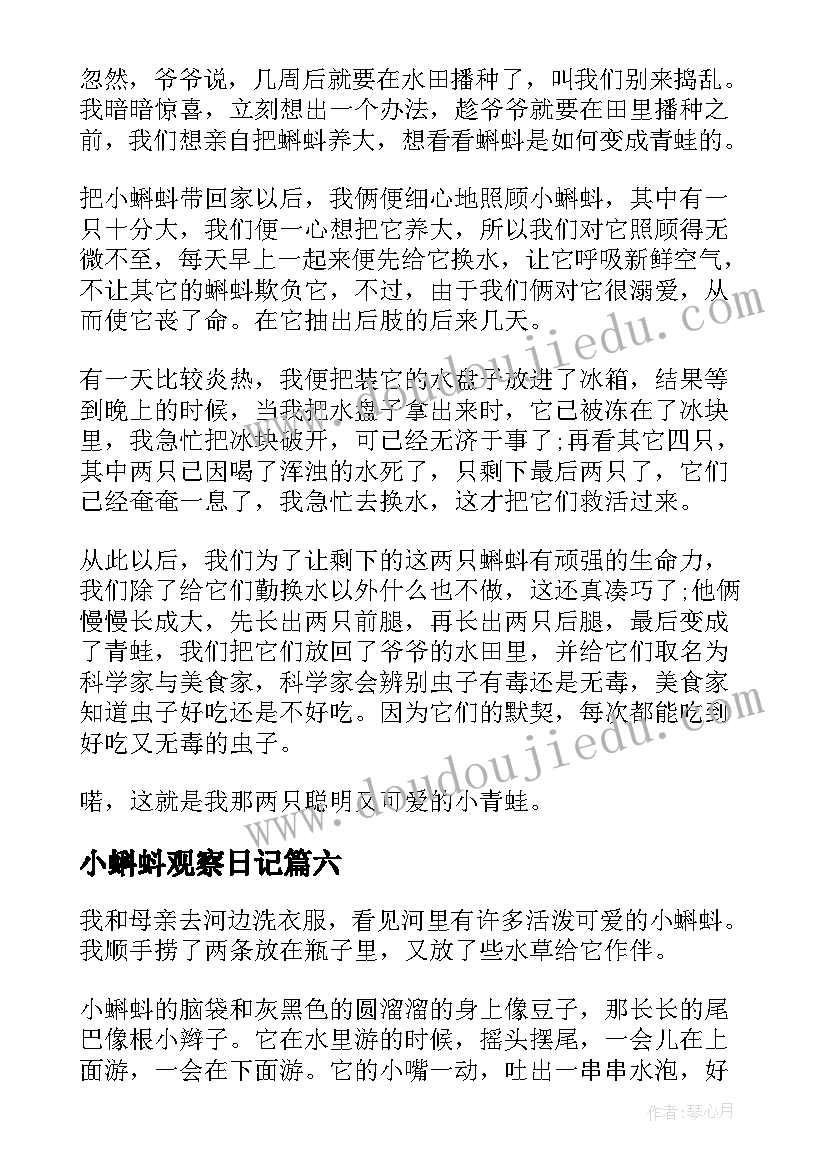 2023年小蝌蚪观察日记(优质19篇)