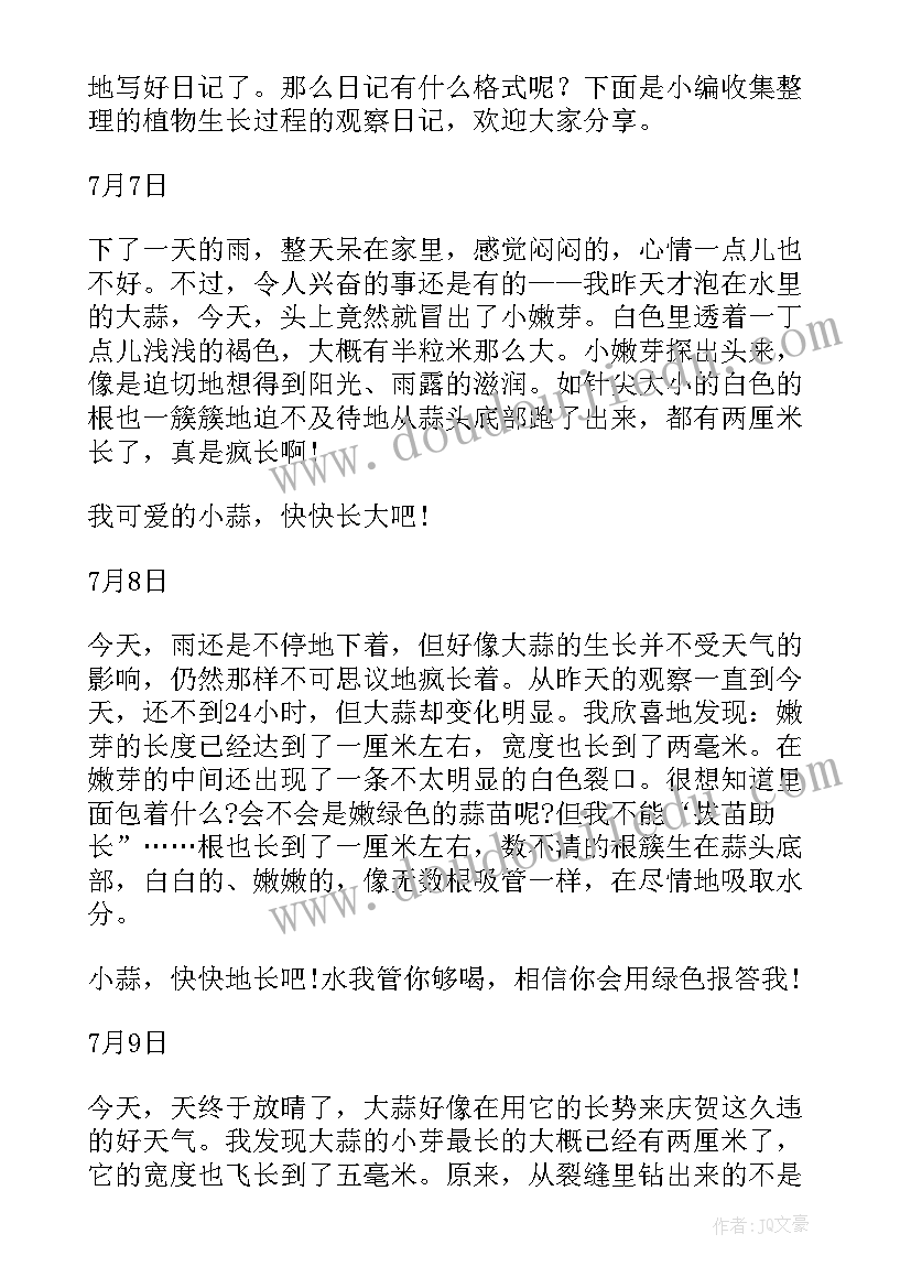 2023年植物四年级观察日记(优质9篇)