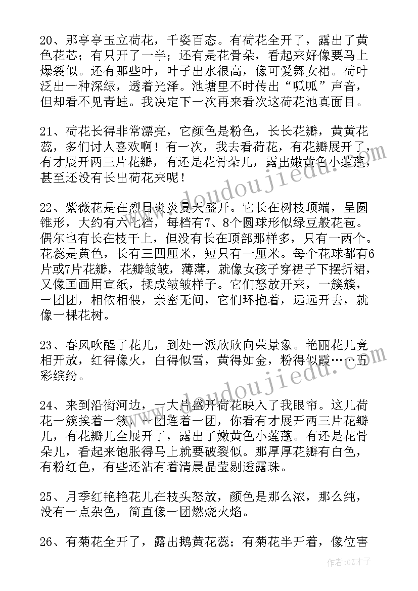 最新形容花朵的句子经典语录(优秀8篇)