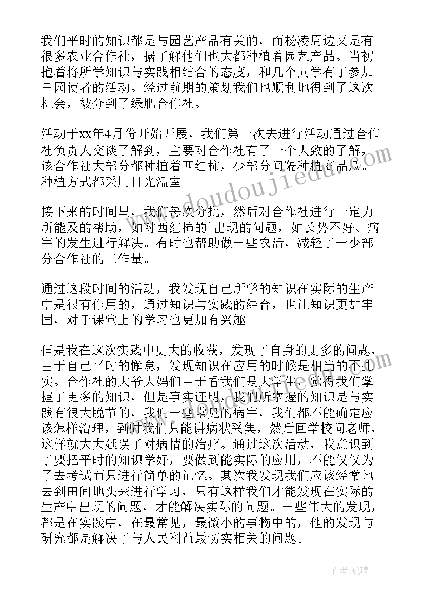 少先队活动实践心得报告总结 实践活动报告心得体会(优质8篇)