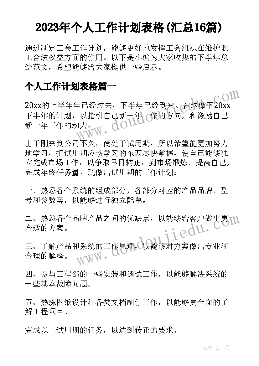 2023年个人工作计划表格(汇总16篇)