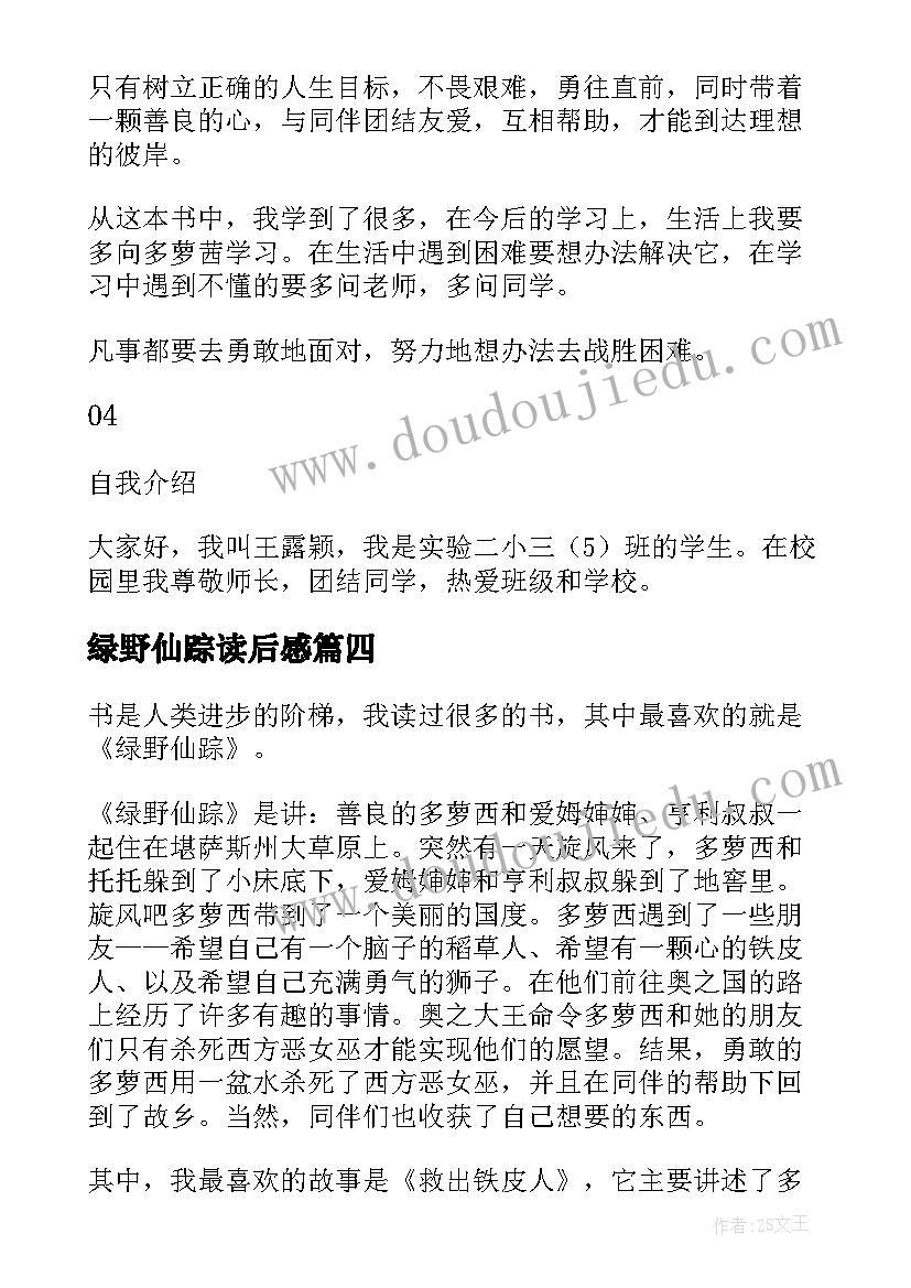 2023年绿野仙踪读后感(优质12篇)