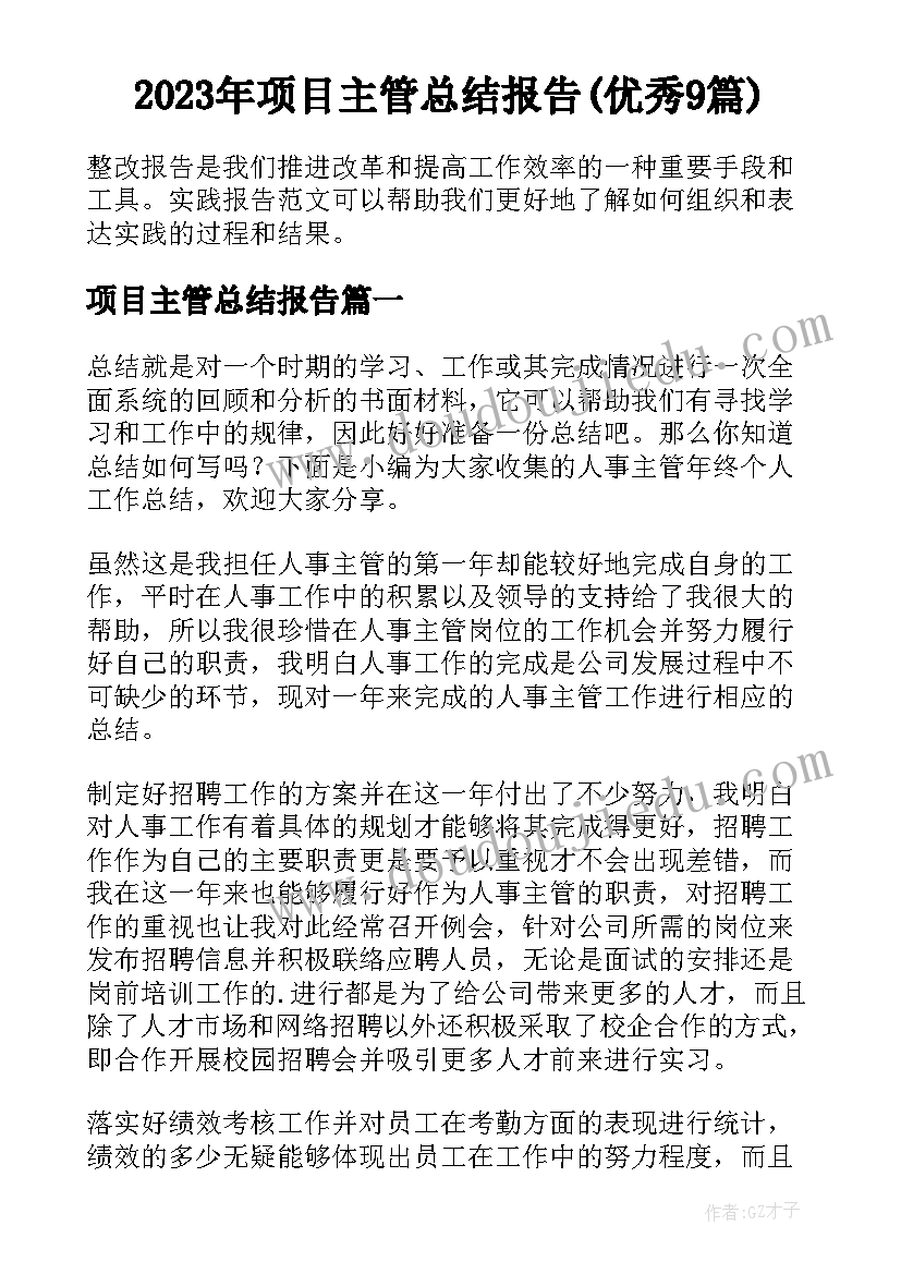 2023年项目主管总结报告(优秀9篇)