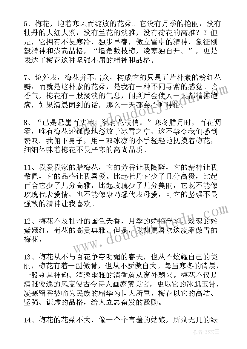 有哪些是梅花的好句好段摘抄(通用8篇)