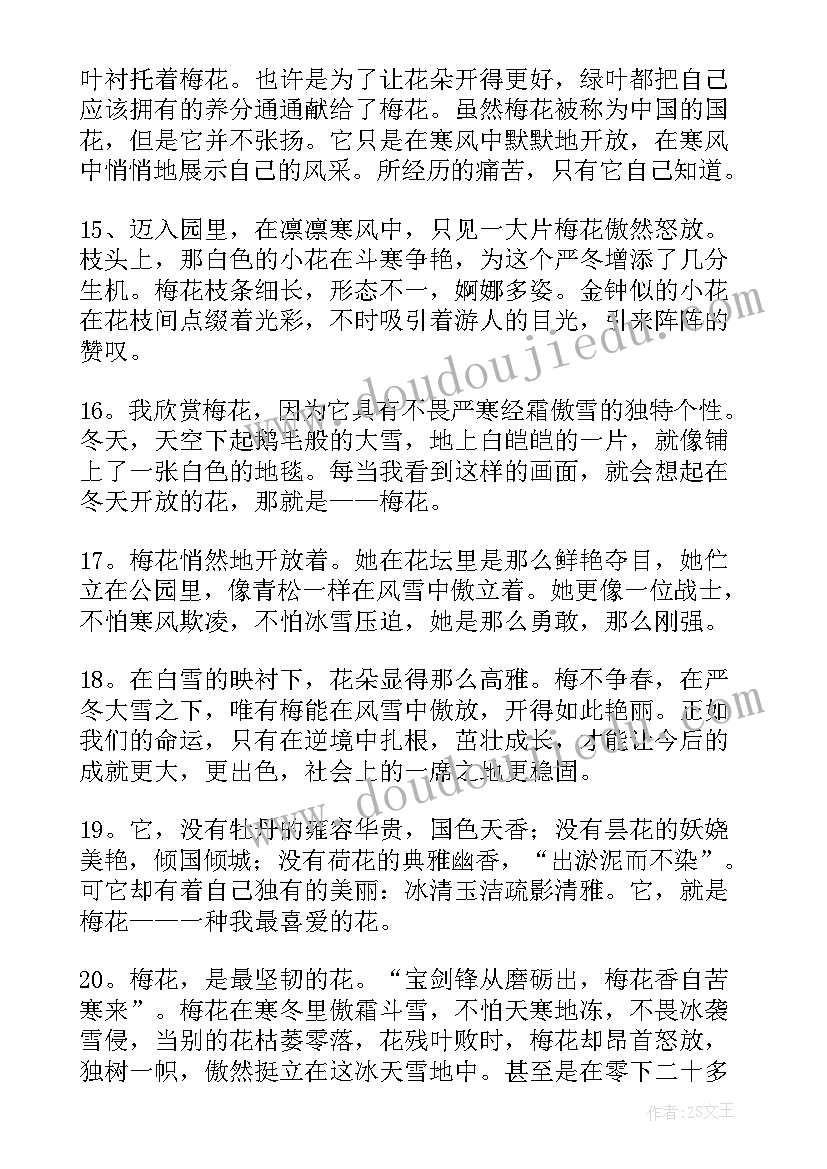 有哪些是梅花的好句好段摘抄(通用8篇)