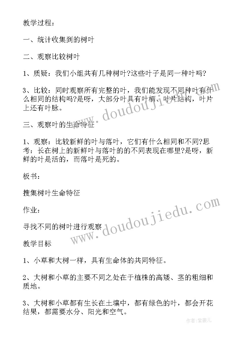 2023年一年级科学教案人教版(精选11篇)