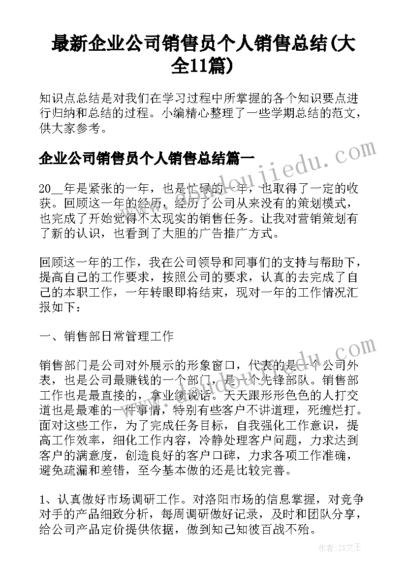 最新企业公司销售员个人销售总结(大全11篇)