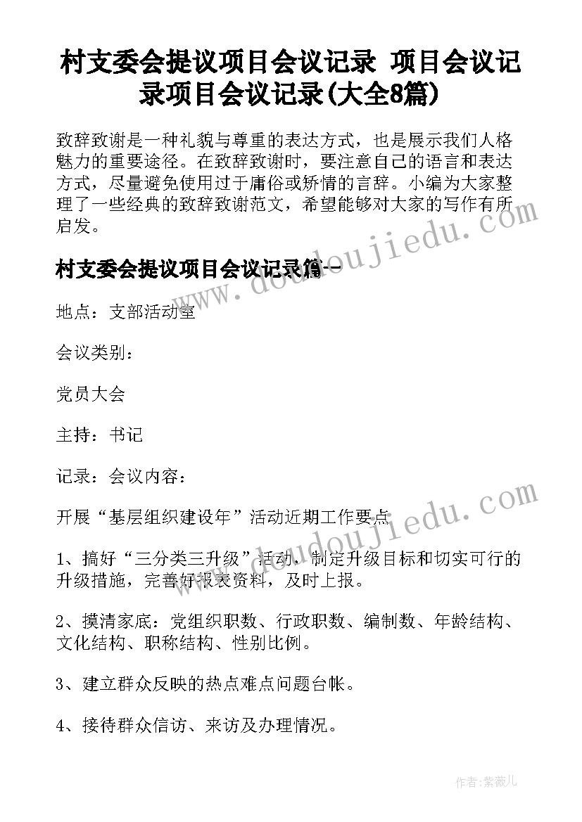 村支委会提议项目会议记录 项目会议记录项目会议记录(大全8篇)