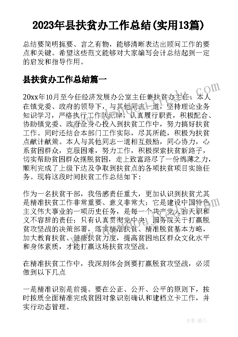 2023年县扶贫办工作总结(实用13篇)