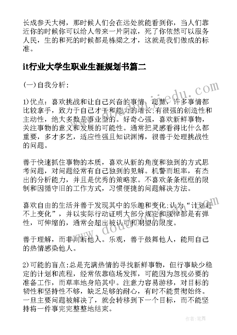 最新it行业大学生职业生涯规划书(通用8篇)