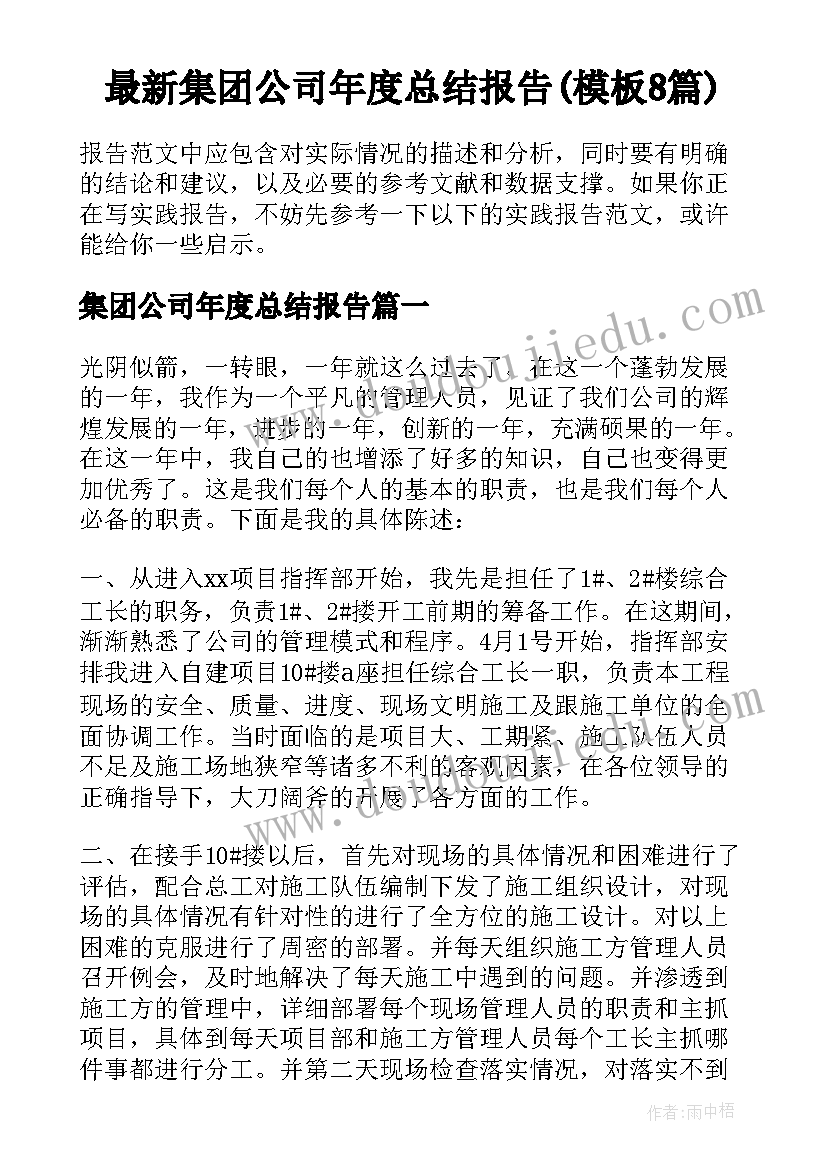 最新集团公司年度总结报告(模板8篇)