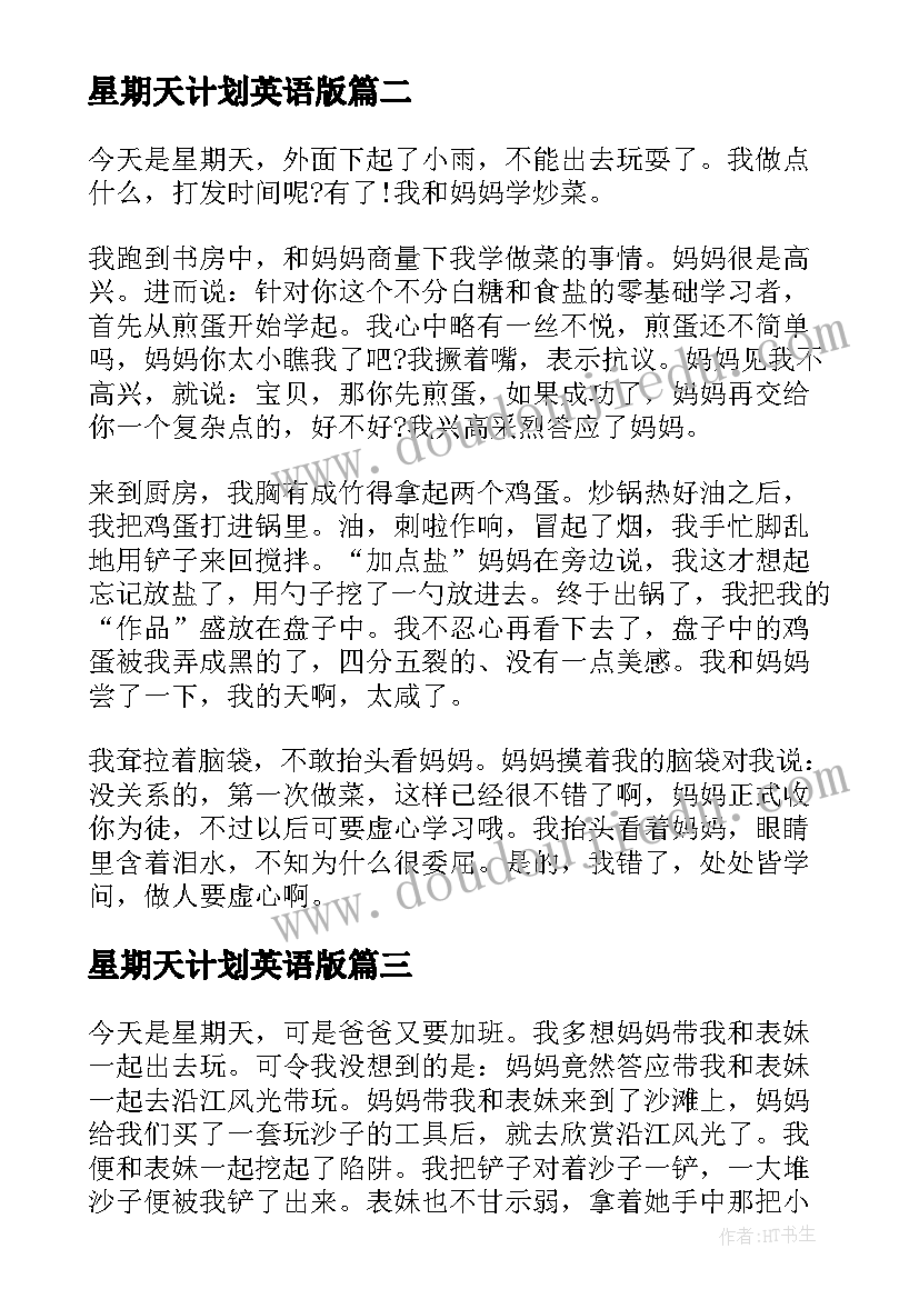 最新星期天计划英语版(模板8篇)