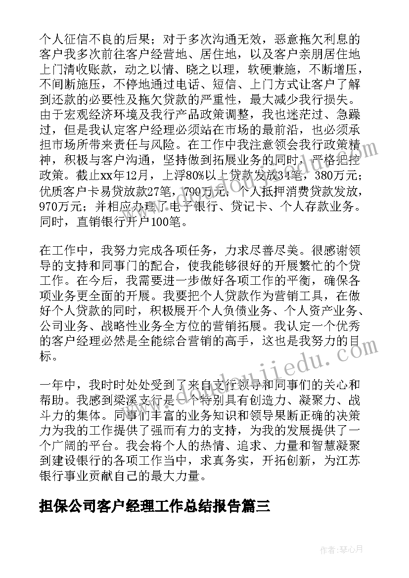 2023年担保公司客户经理工作总结报告(实用17篇)