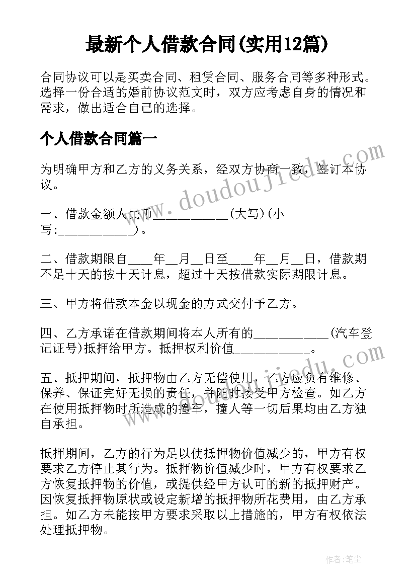 最新个人借款合同(实用12篇)