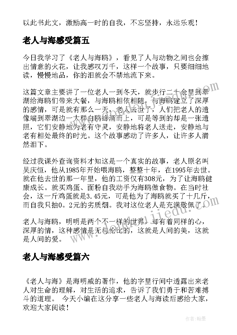 最新老人与海感受 老人与海读书心得及感悟(大全16篇)