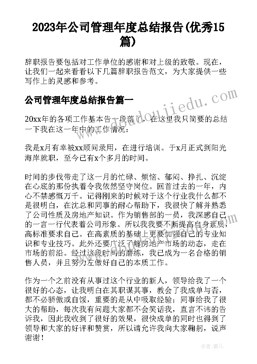 2023年公司管理年度总结报告(优秀15篇)