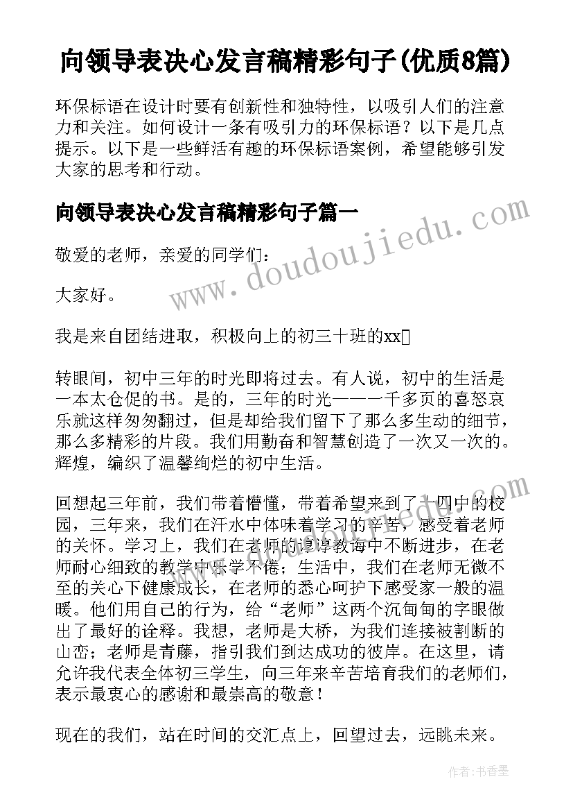 向领导表决心发言稿精彩句子(优质8篇)