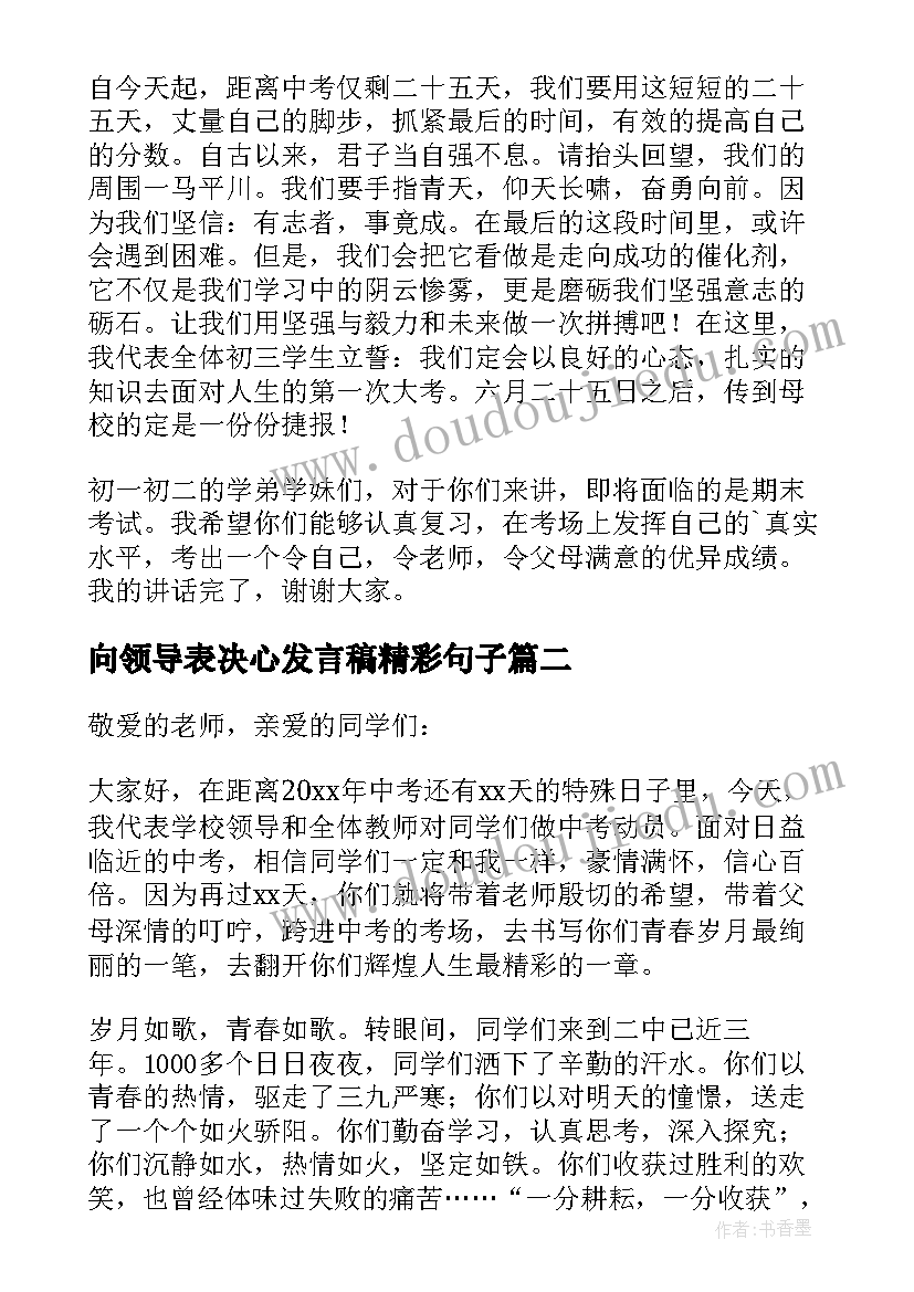 向领导表决心发言稿精彩句子(优质8篇)